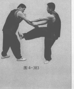 图片102