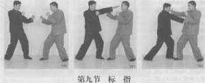 图片46