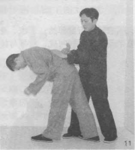 图片24