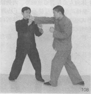 图片102