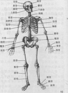图片6