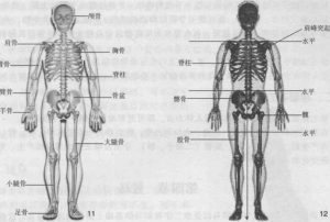 图片7
