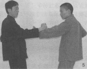 图片24