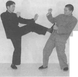 图片87