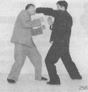 图片11
