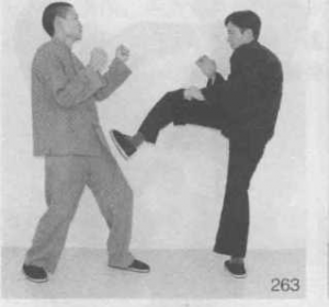 图片15