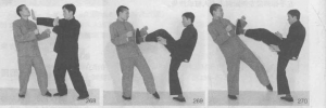 图片19