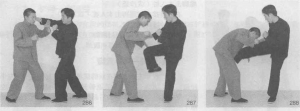 图片31