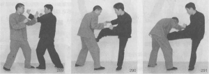 图片32