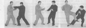 图片41