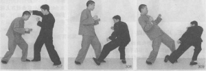图片42