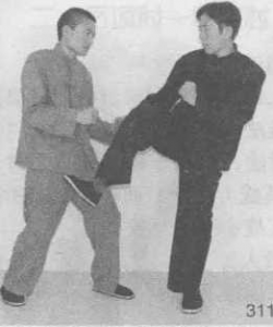 图片44