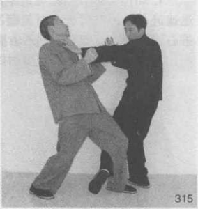 图片48