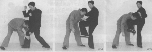 图片101