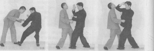 图片11