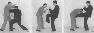 图片20