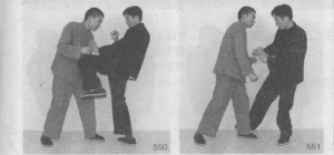 图片31