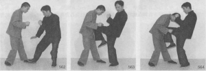 图片40