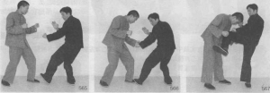 图片41