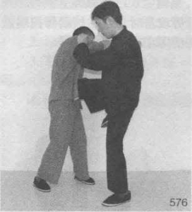 图片47