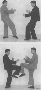 图片49