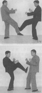 图片50
