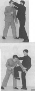 图片97