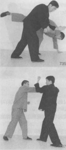 图片121