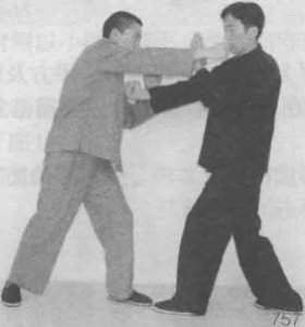 图片3