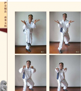 图片50