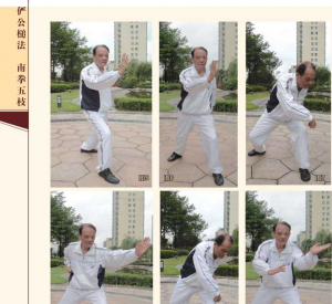 图片17