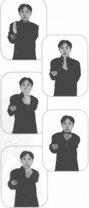图片115