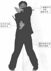 图片215