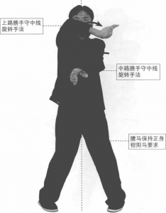 图片221
