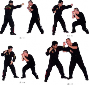 图片5