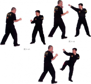 图片7