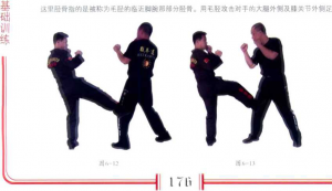 图片83