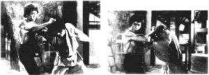 图片21
