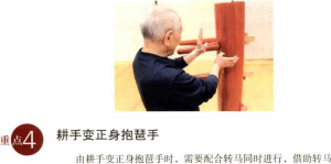 图片50