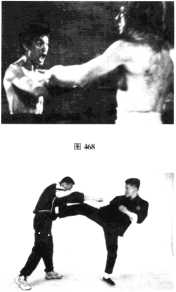 图片52