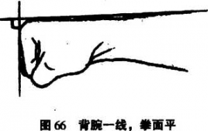 图片46
