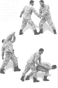 图片5