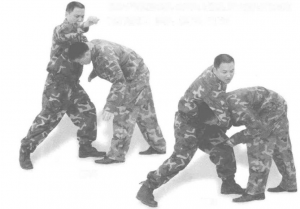 图片9