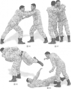 图片16