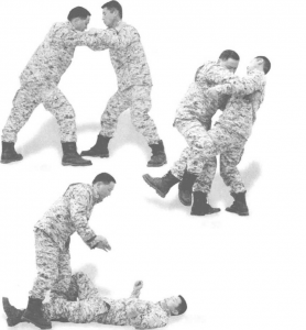 图片24
