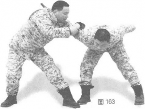 图片8