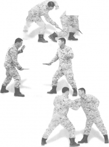 图片41