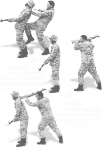 图片51