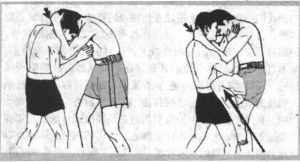 图片114