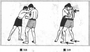图片5